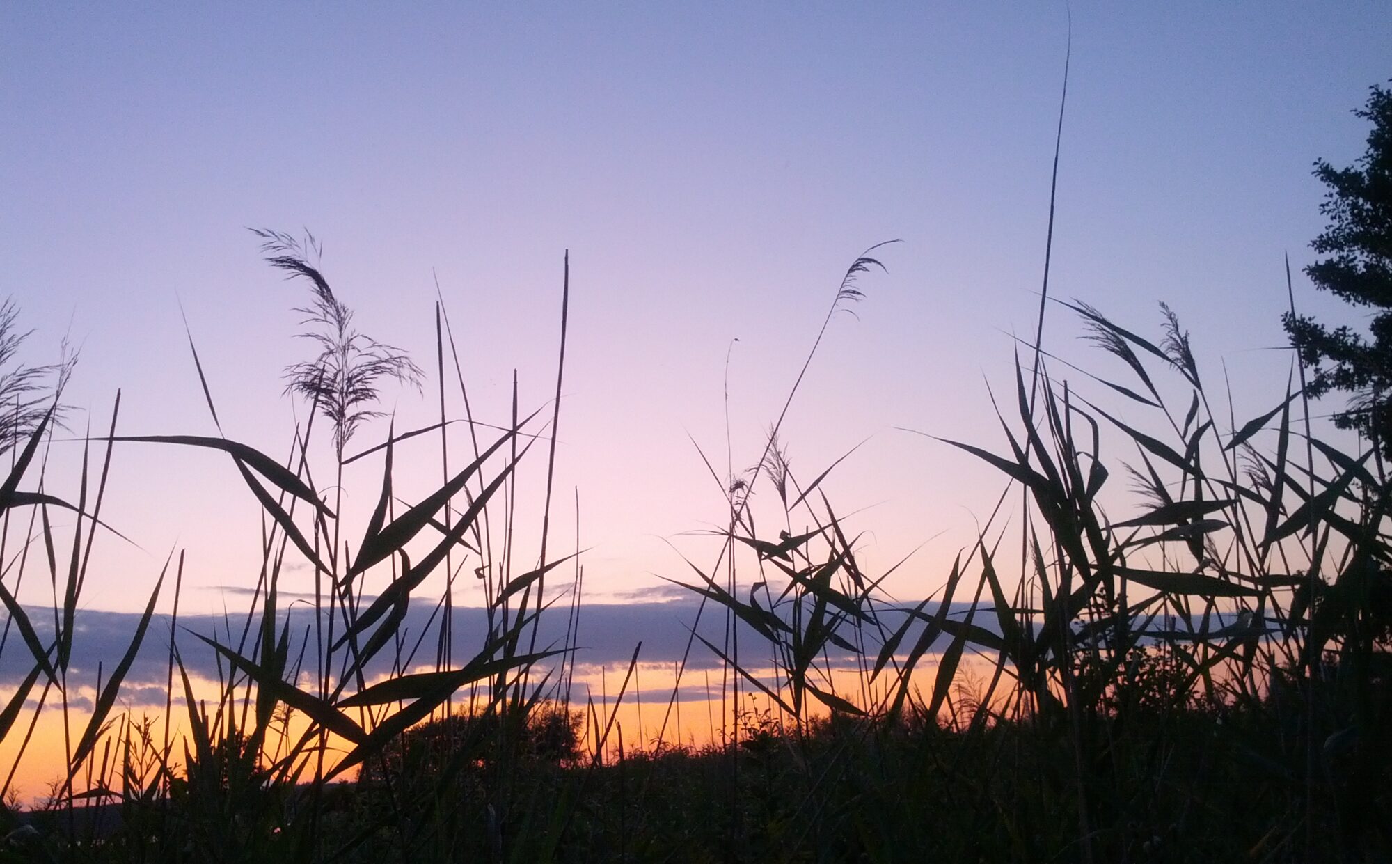 livetefterarbejdslivet.dk